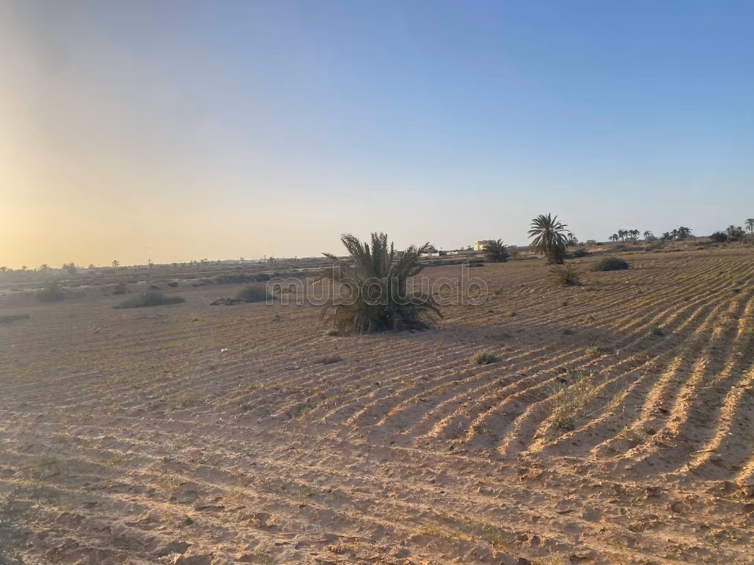 Terrain 13 000 m² près plage – Cheikh Yahya