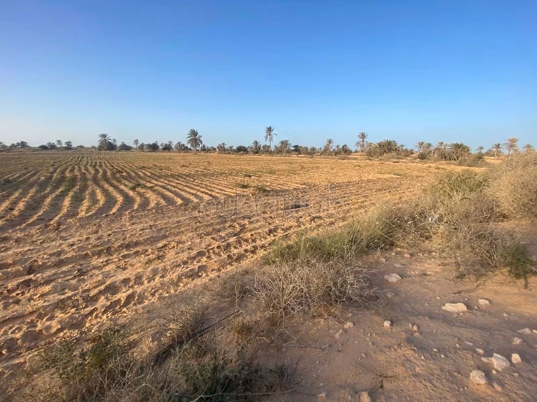 Terrain 13 000 m² près plage – Cheikh Yahya