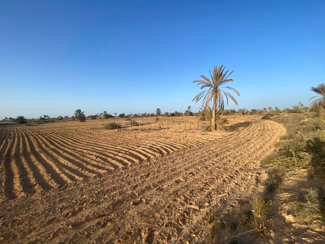 Terrain 13 000 m² près plage – Cheikh Yahya