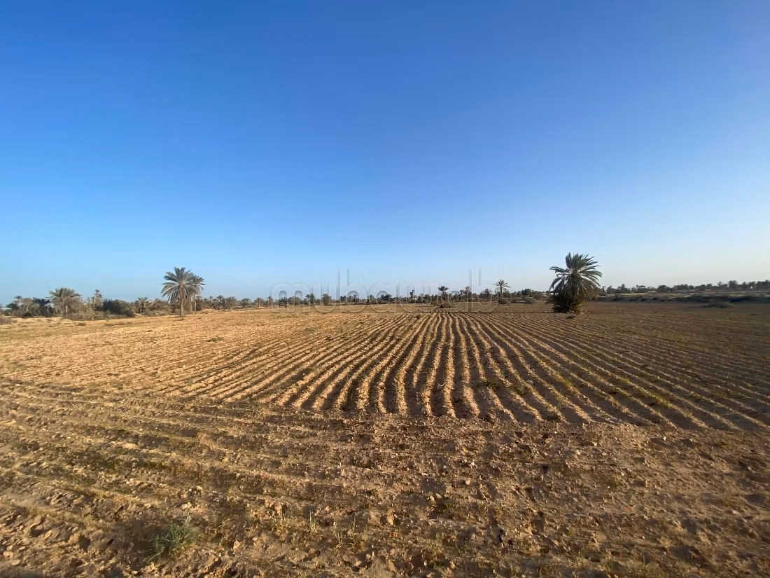 Terrain 13 000 m² près plage – Cheikh Yahya