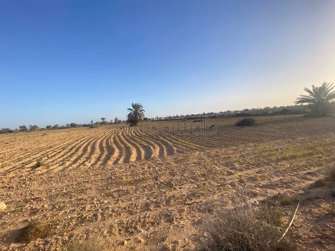 Terrain 13 000 m² près plage – Cheikh Yahya