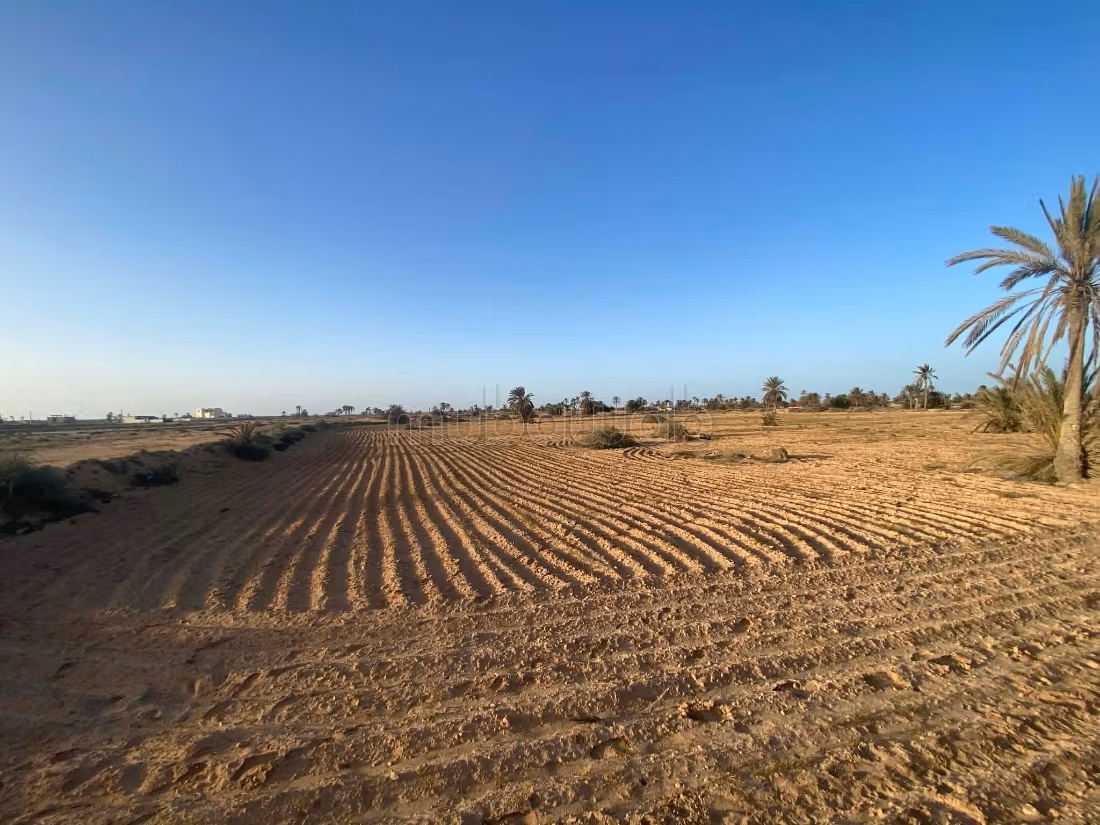Terrain 13 000 m² près plage – Cheikh Yahya