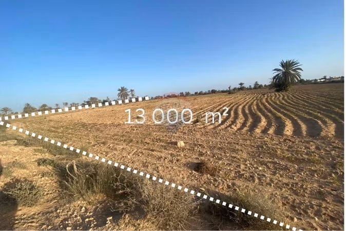 Terrain 13 000 m² près plage – Cheikh Yahya