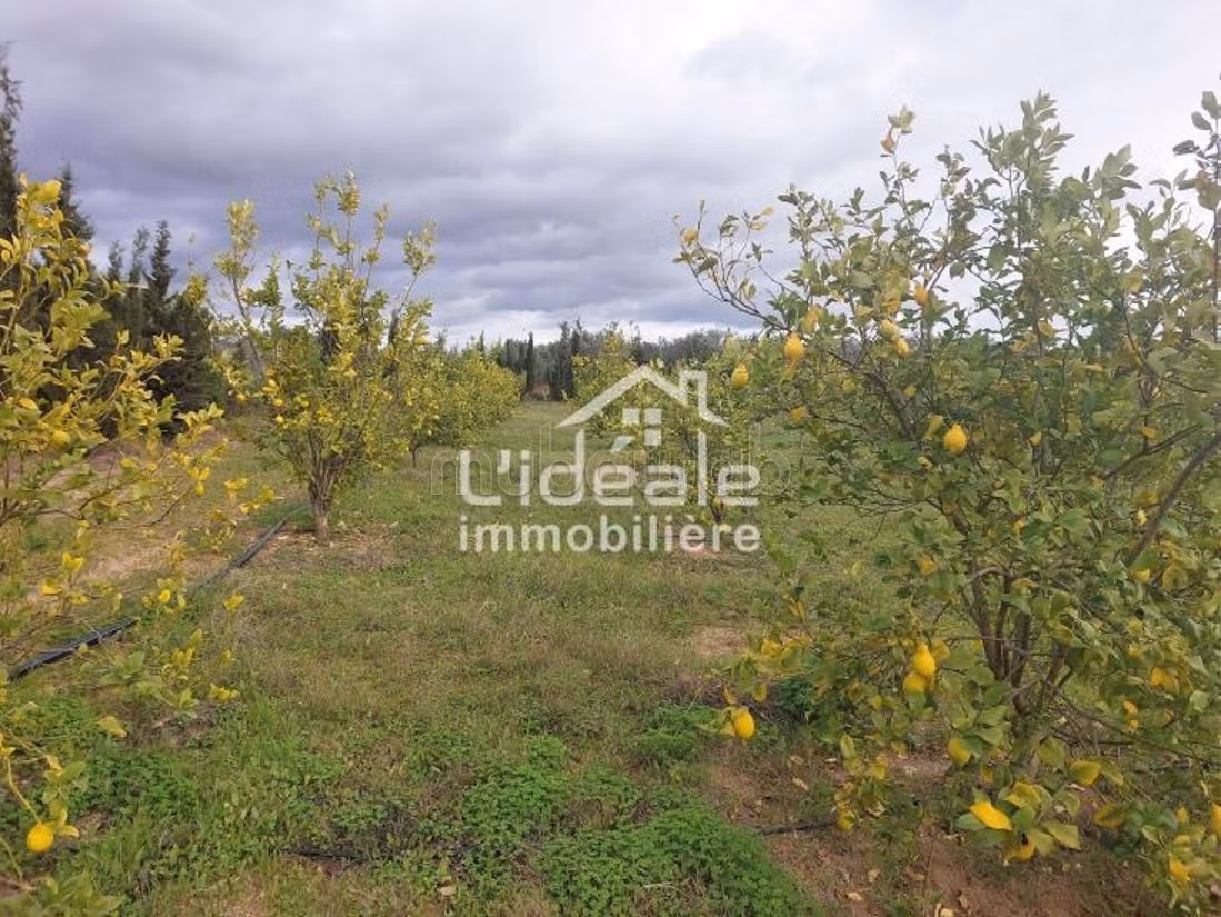 Orchard eccezionale a Borj Hfaïedh 10 km da Hammamet