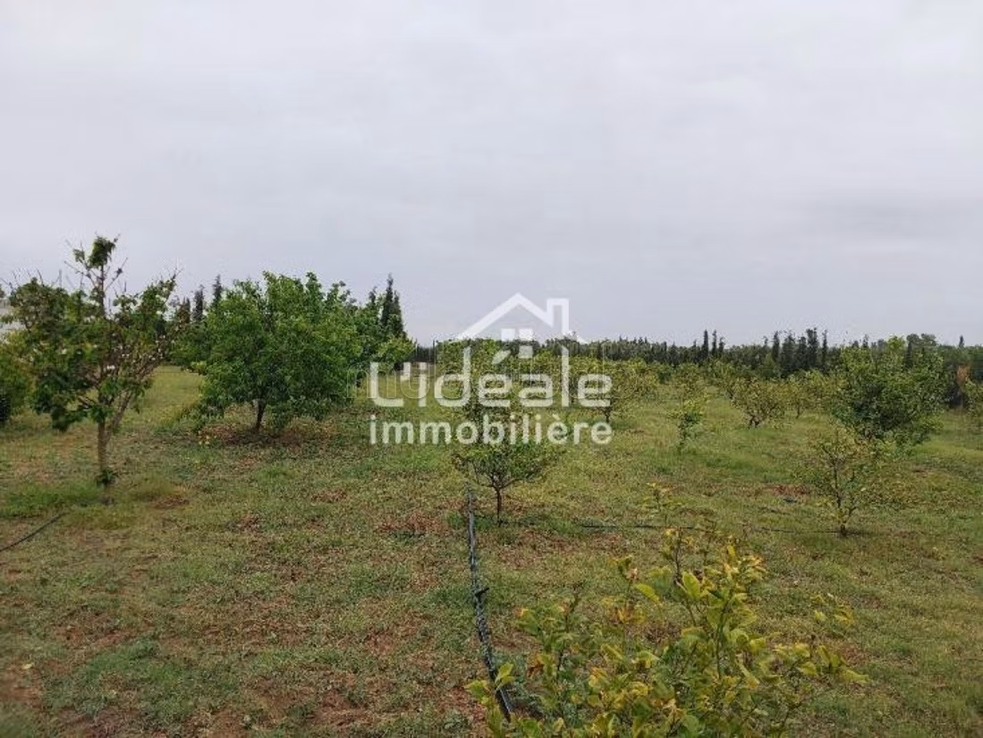 Orchard eccezionale a Borj Hfaïedh 10 km da Hammamet
