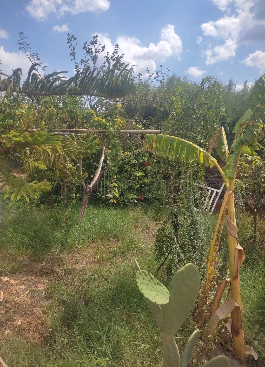 Magnifique terrain à vendre à Maâmoura – Nabeul