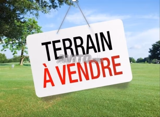 Vente terrain sb4 a mers lkheir
