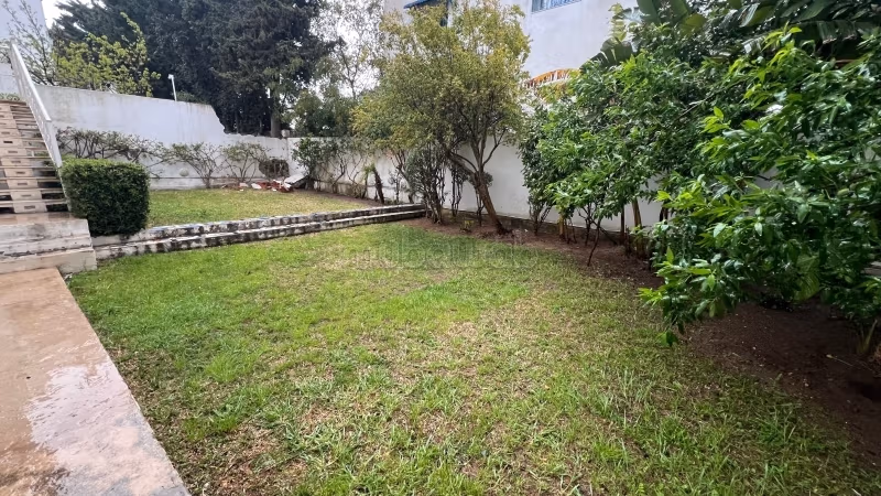 S4 avec jardin
