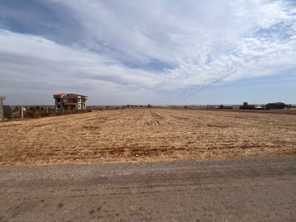 Terrain de 1.5 ha à vendre près de Benslimane