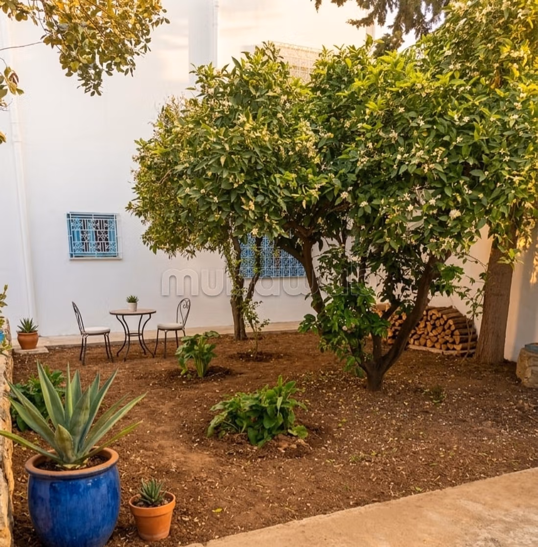 Bardo: Villa 701m²  2 Apparts  Giardino R2