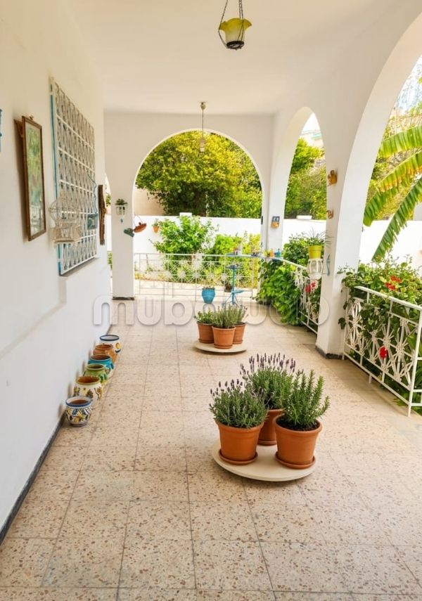 Bardo: Villa 701m²  2 Apparts  Giardino R2