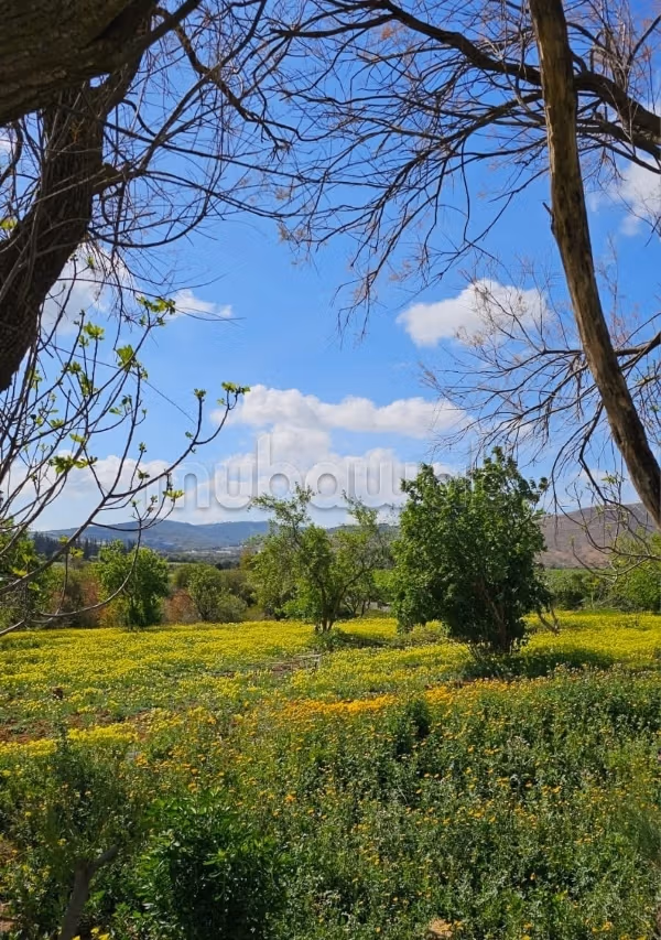Akar / Vente / Terrain / Borj Youssef/ Cebalat Ben Ammar