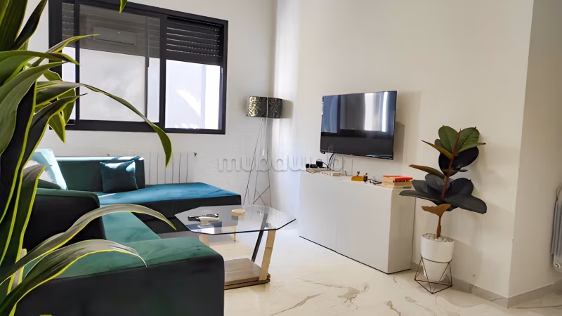 Luxury apartment