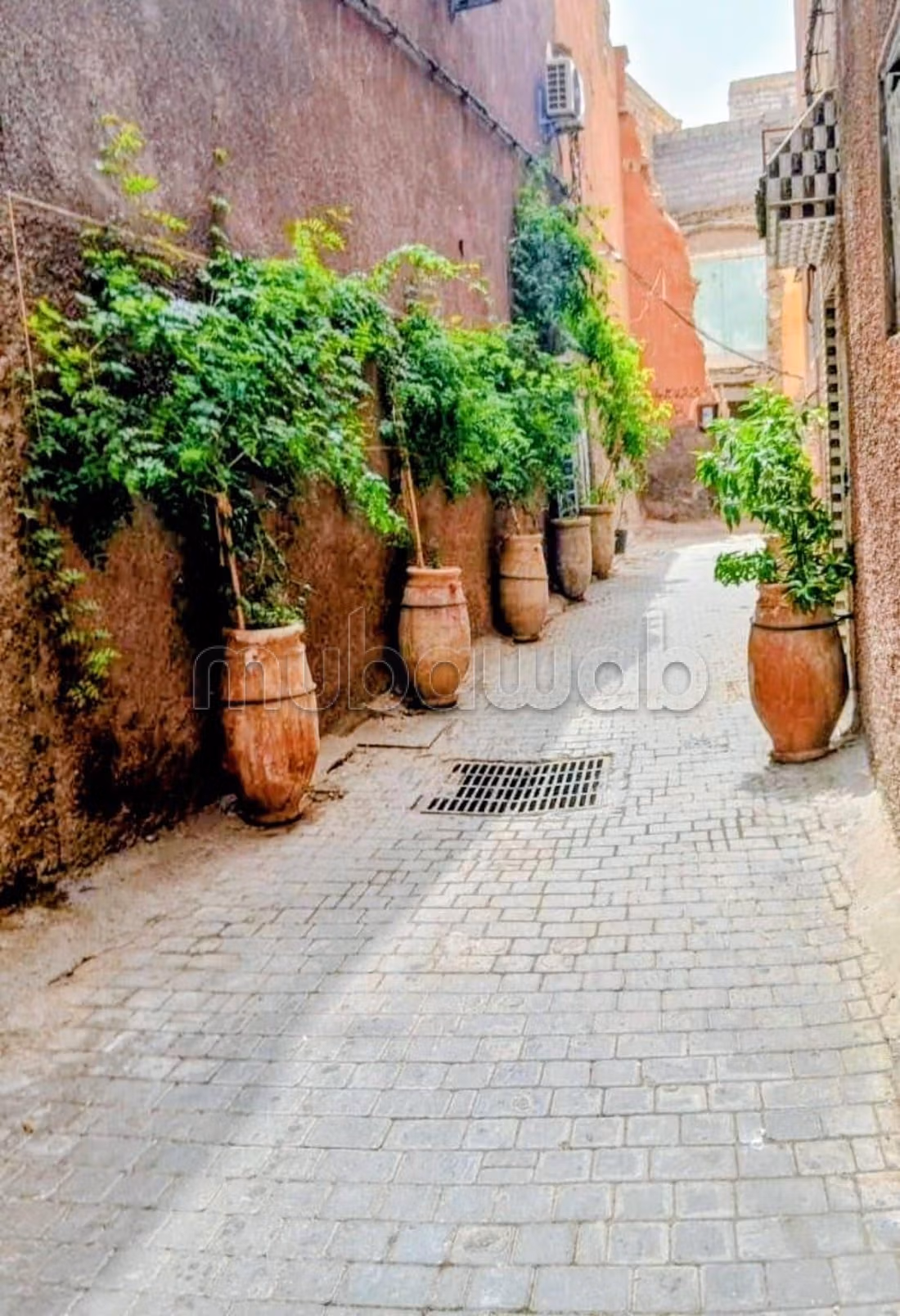 Prime Potential in Bab Doukkala