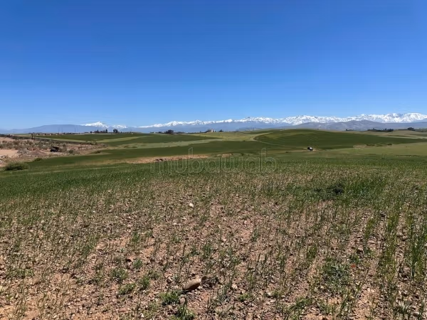 Terrain TITRE 2,5 Ha Km 24 Route Amizmiz