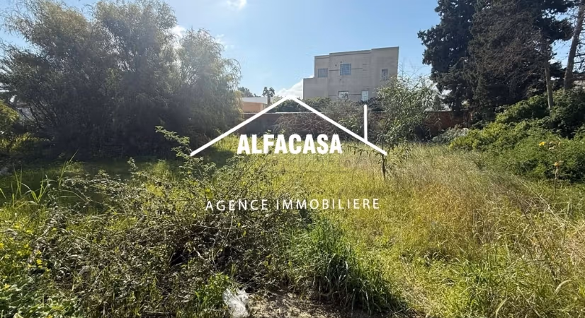 A vendre terrain à l'aouina