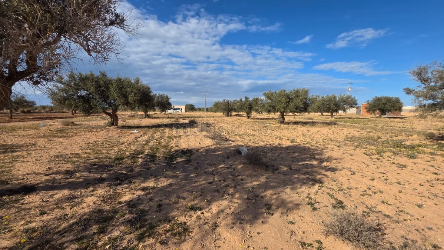 Terreno in vendita con permesso - a 2 km dal mare