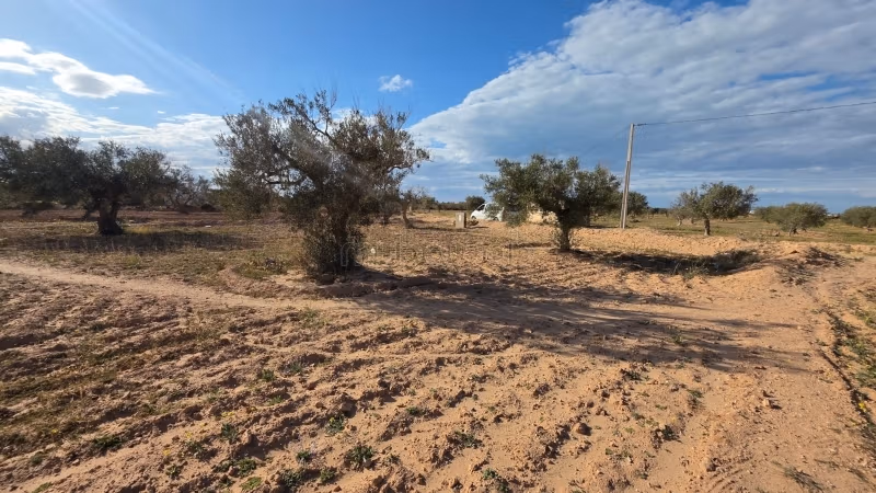 Terrain à vendre avec permis – à 2 km de la mer