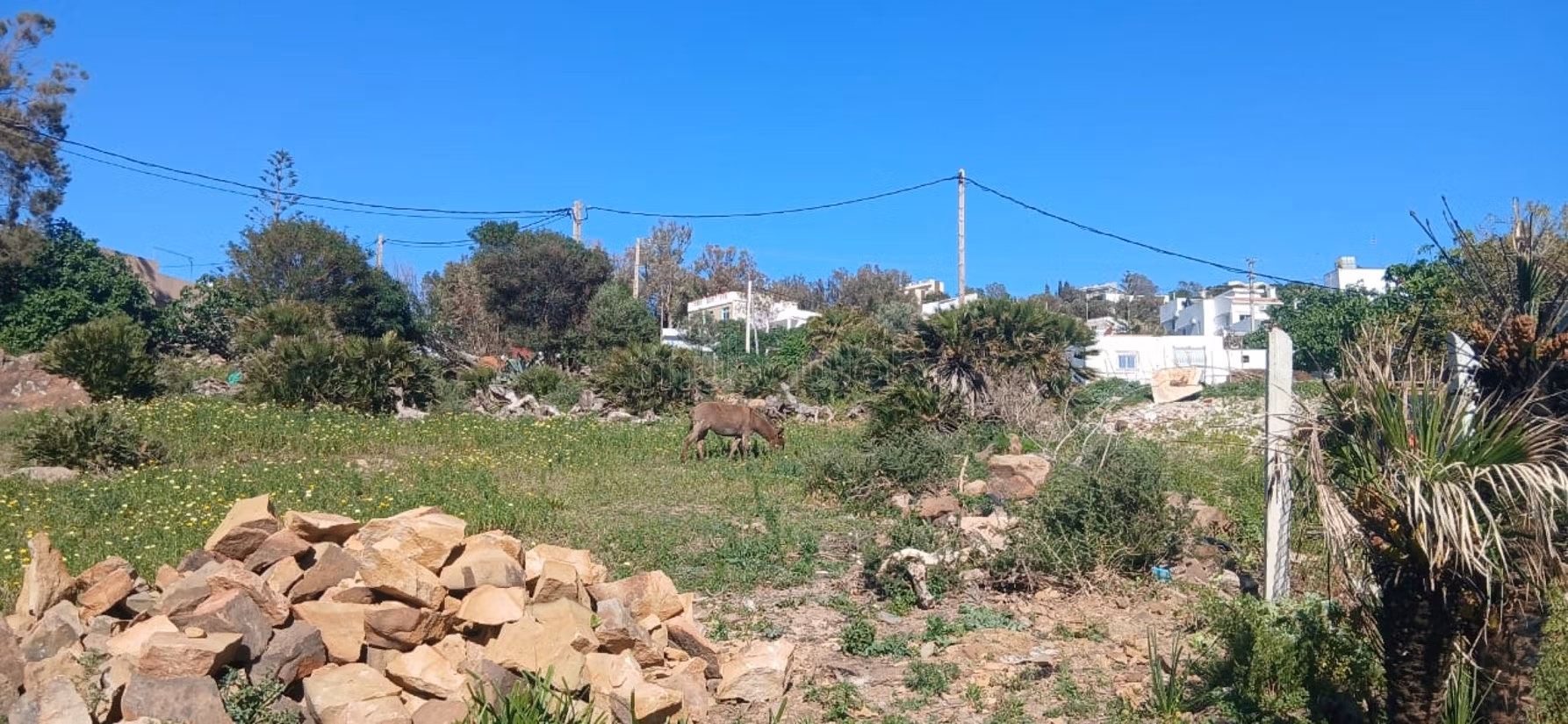 Terreno en venta en Achakar. Área total 390 m²
