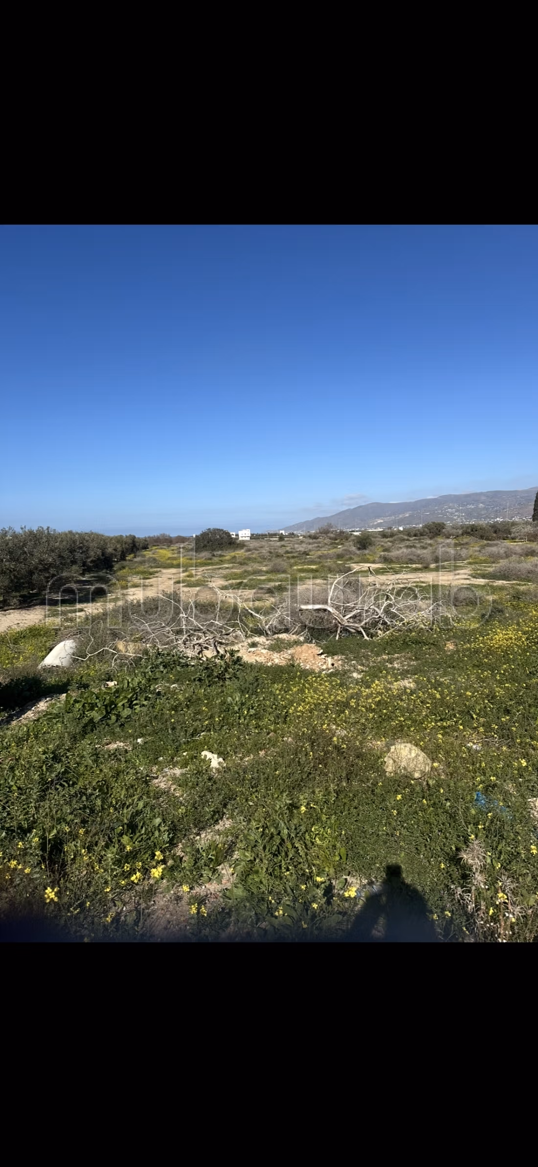 Terrain titre zone aéroport de hoceima ifrissen