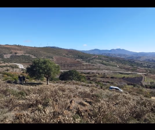 Terrain 4585 m² Proche autoroute Melloussa