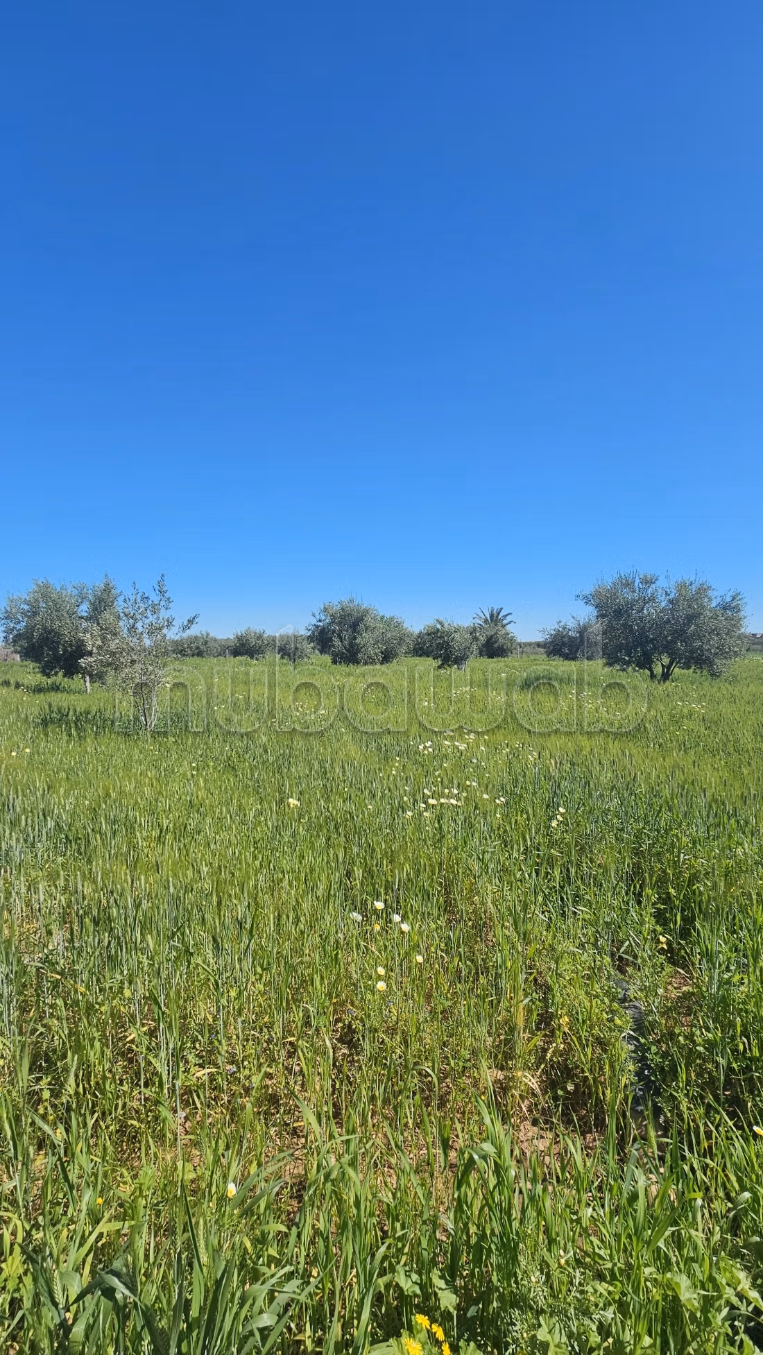 Granja en venta