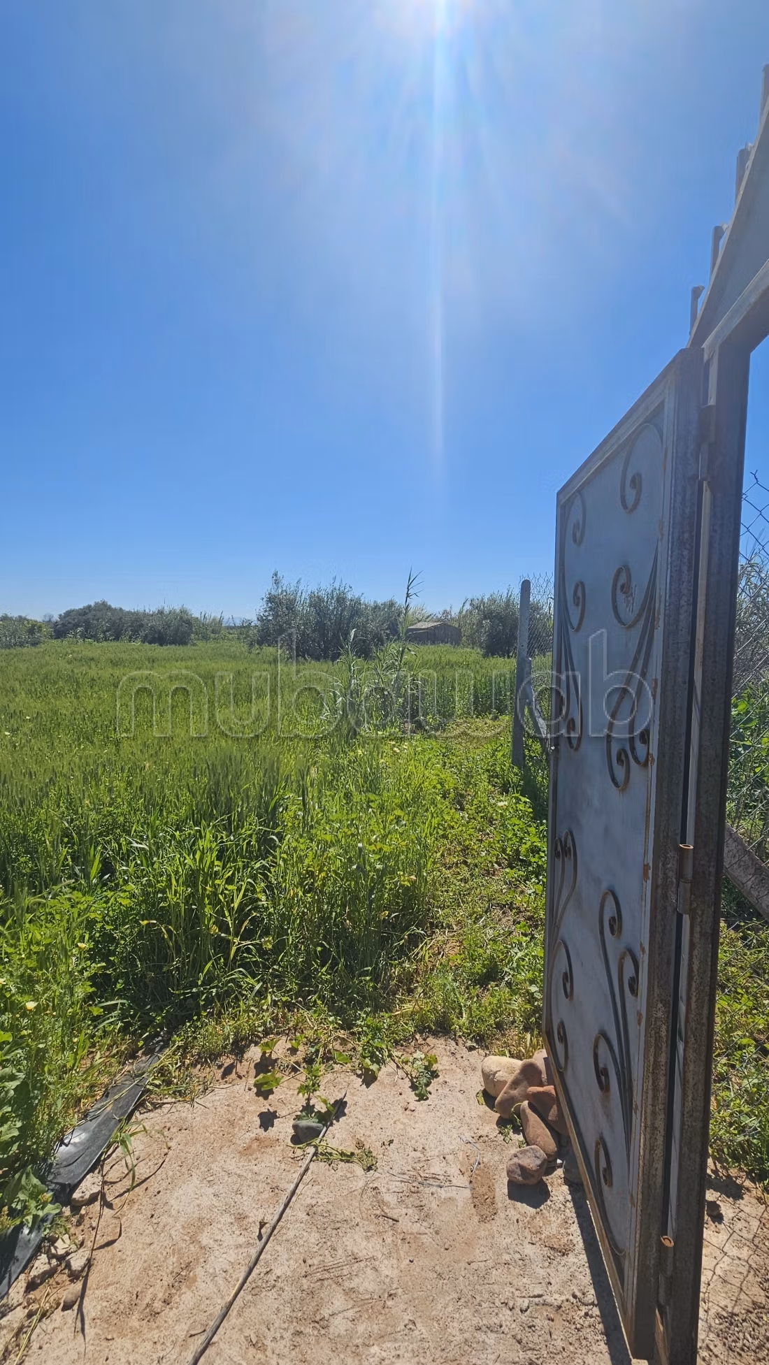 Granja en venta