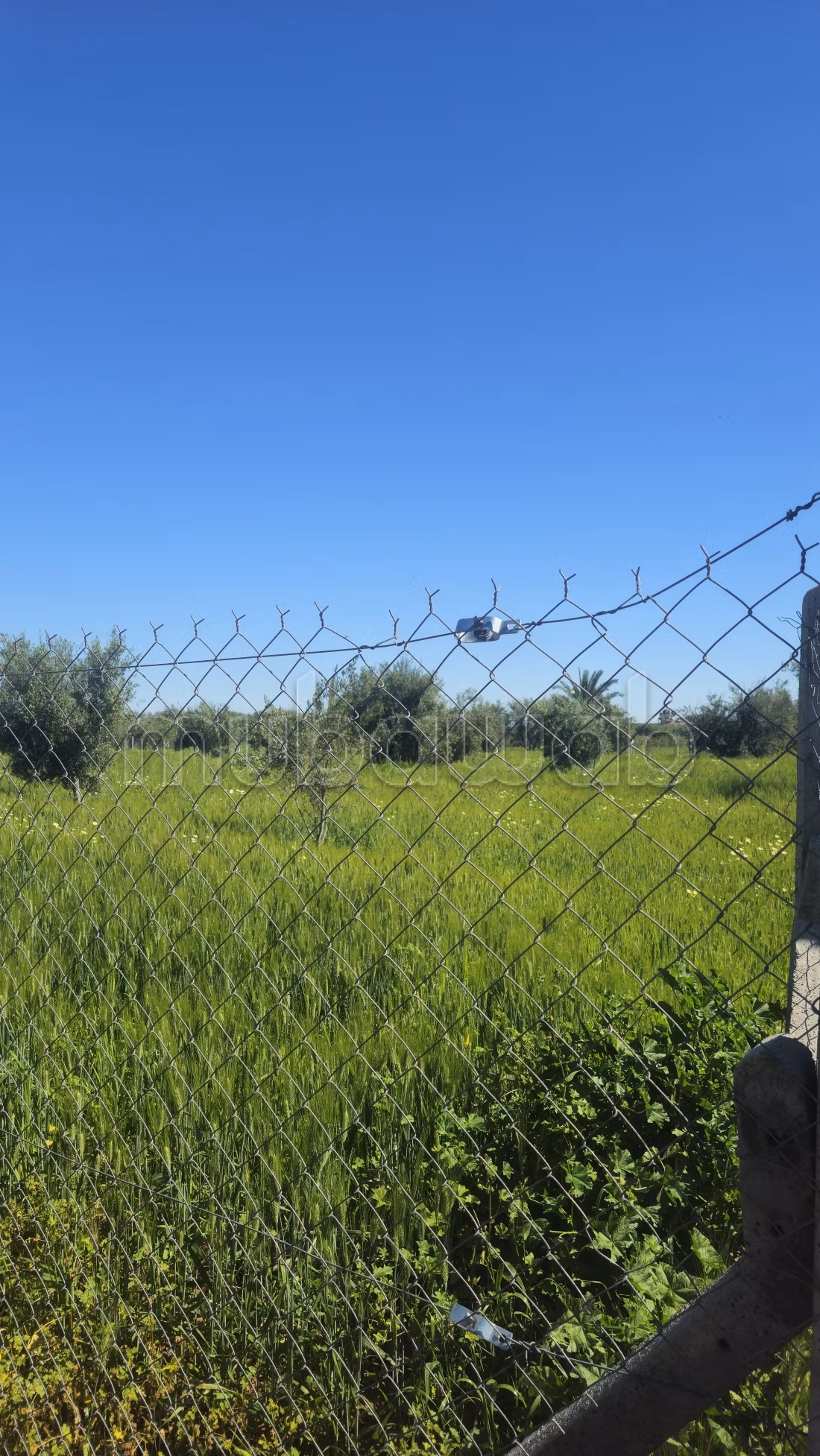 Granja en venta