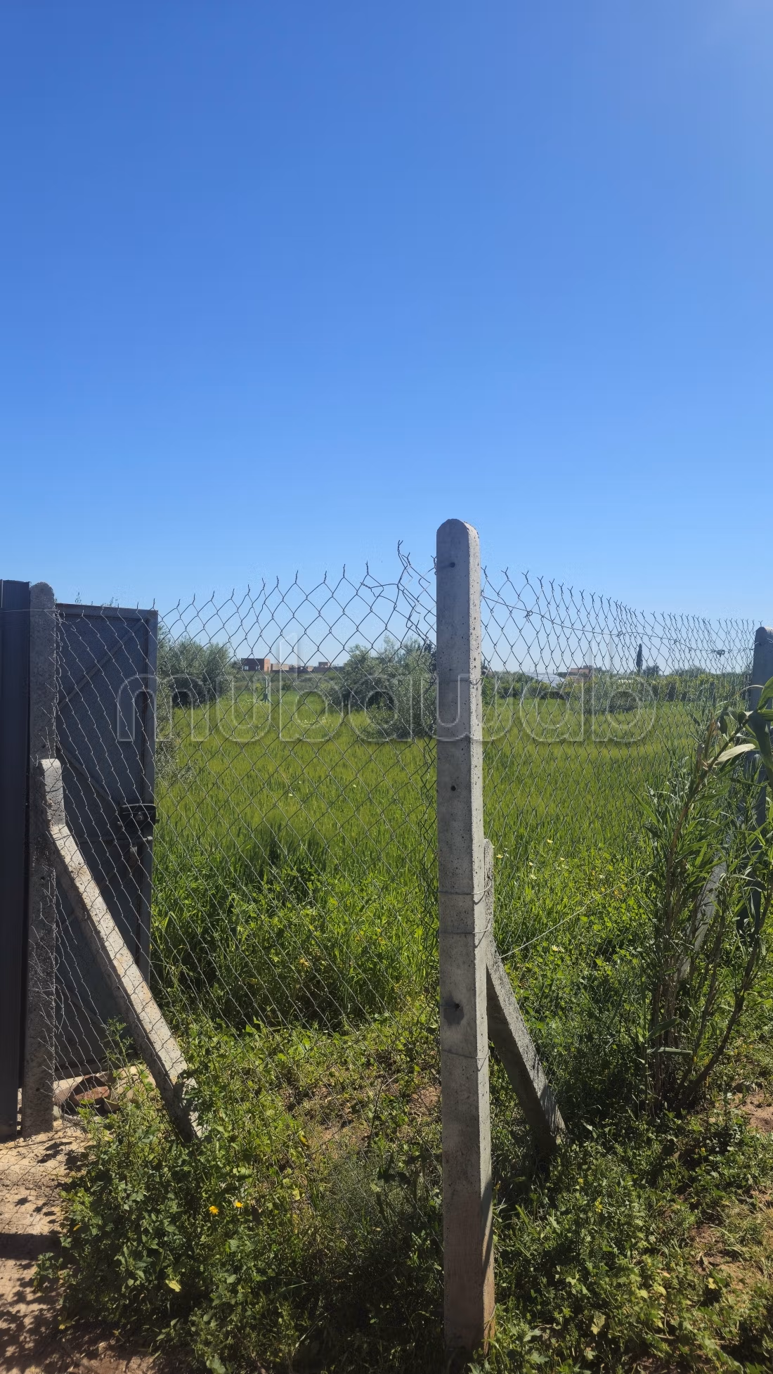 Granja en venta