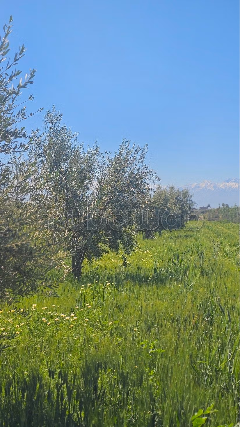 Granja en venta