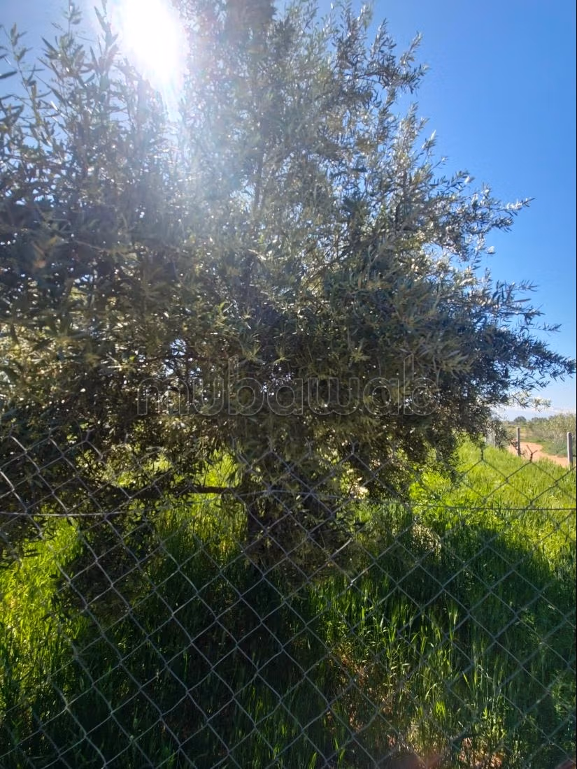 Granja en venta