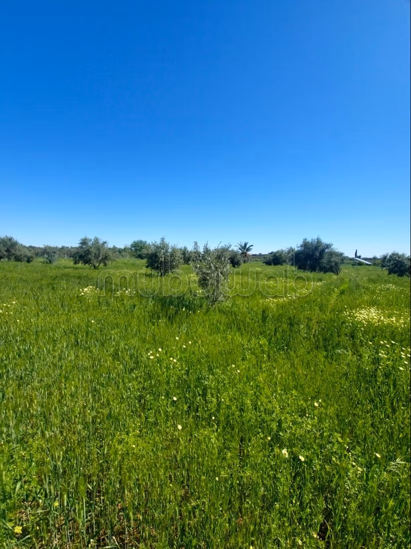 Granja en venta
