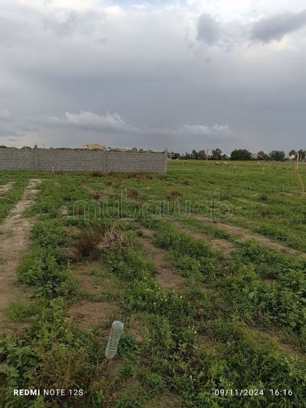 Terreno in vendita