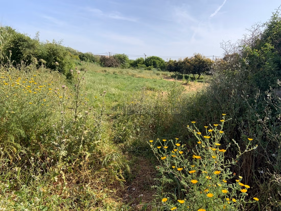 Te koop: land. Oppervlakte 15000 m²