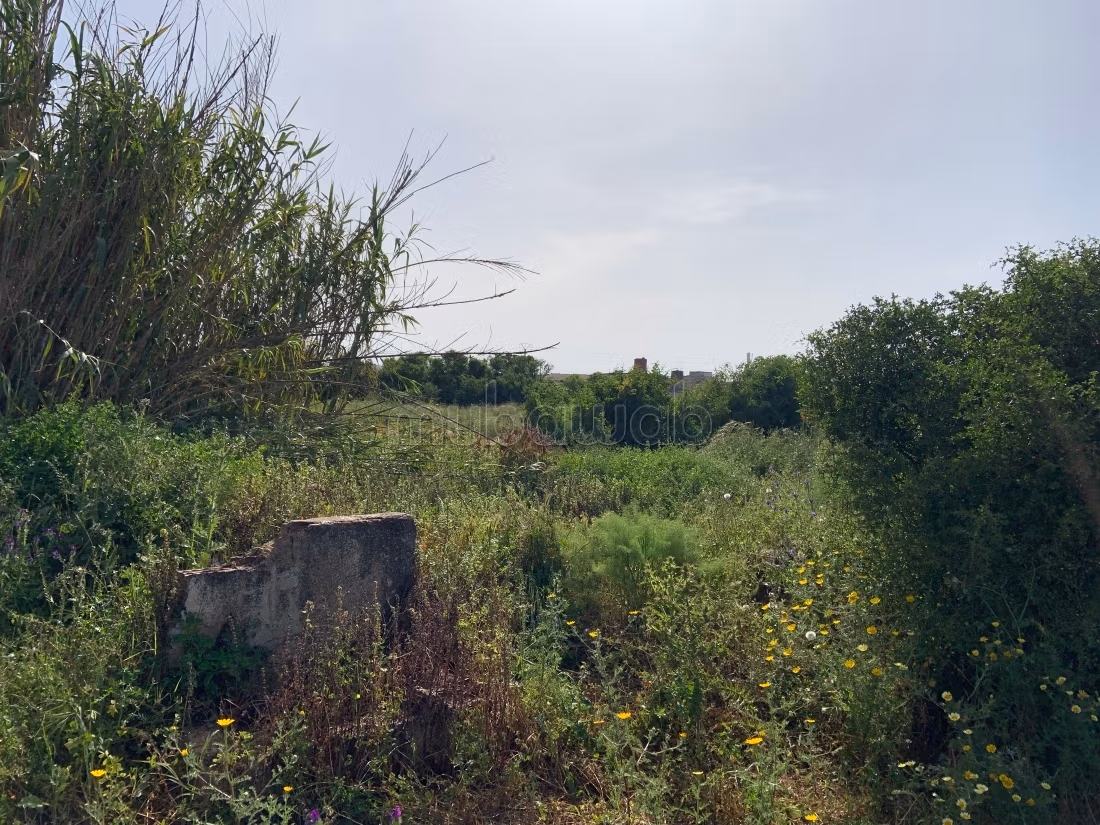 Te koop: land. Oppervlakte 15000 m²