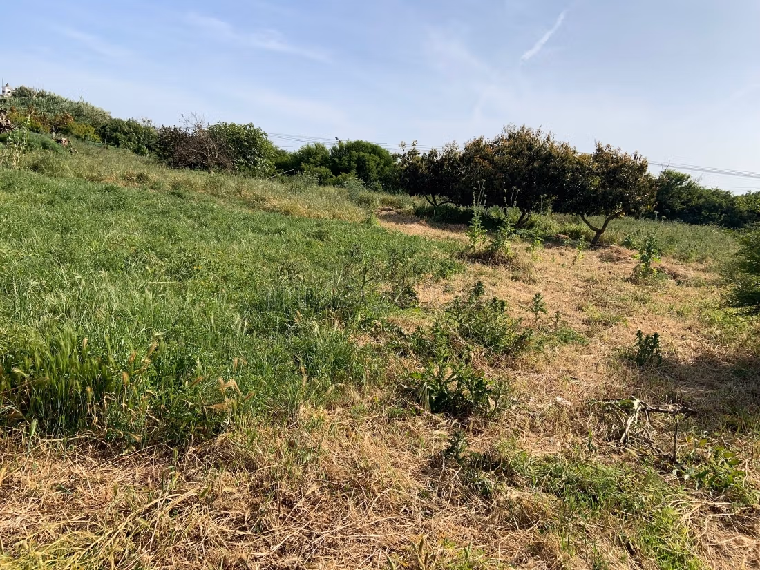 Te koop: land. Oppervlakte 15000 m²