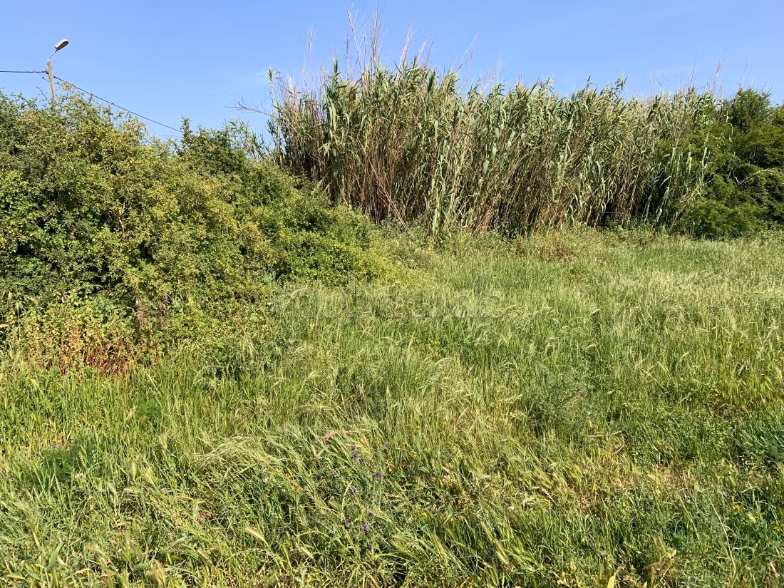 Te koop: land. Oppervlakte 15000 m²