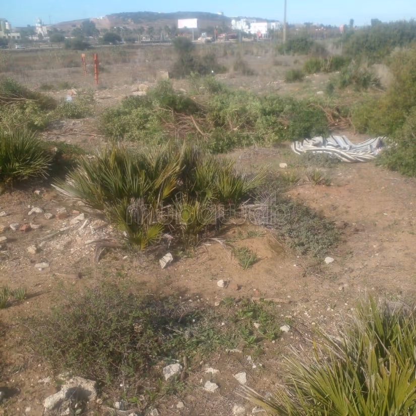 TERRAIN À VENDRE – TANGER GZNAYA 
أرض للبيع – طنجة كزناية