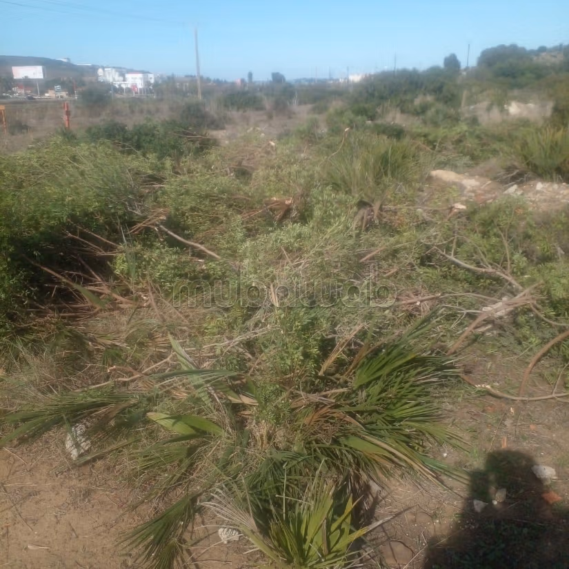 TERRAIN À VENDRE – TANGER GZNAYA 
أرض للبيع – طنجة كزناية