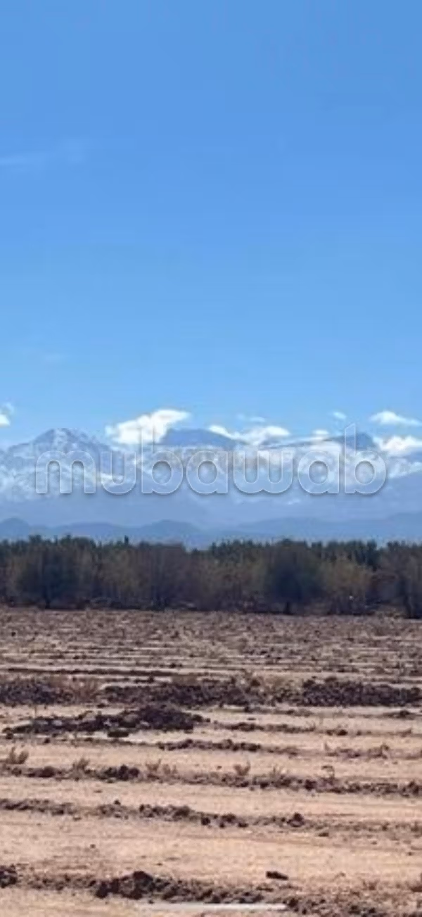 Terrain 1170m2 en vente à Sidi Abdallah Ghiat sur le goudron
