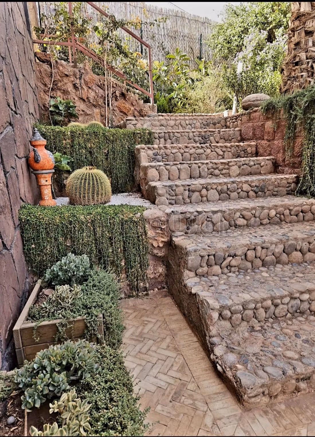 Vialla la palma