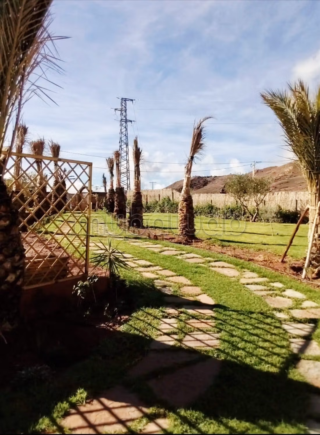 Vialla la palma