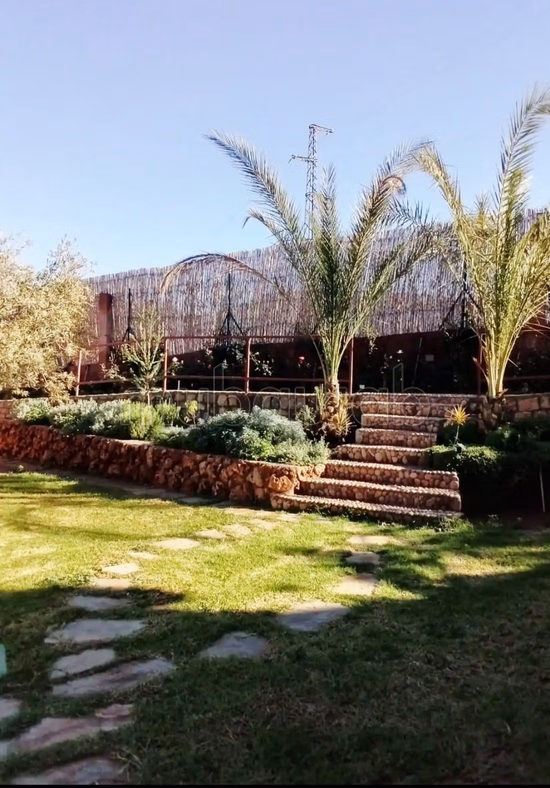 Vialla la palma
