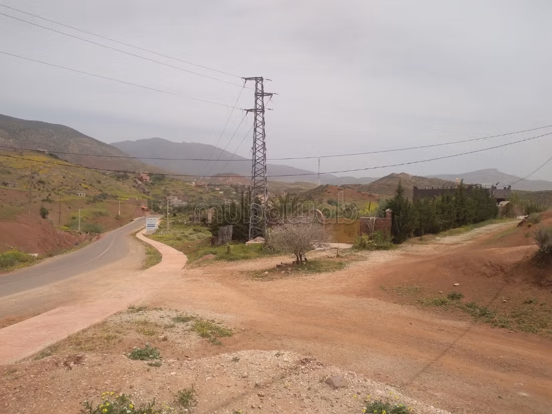 Vialla la palma