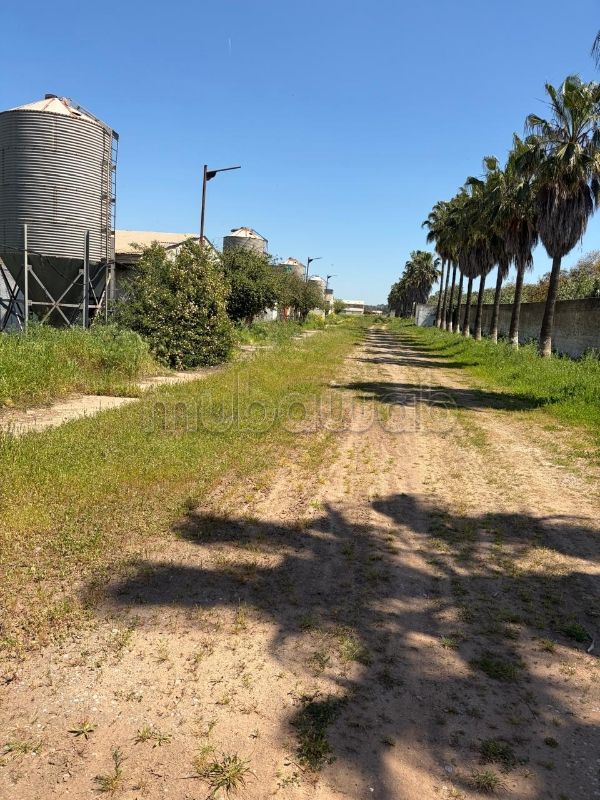 Sidi yahya zaers propriété agricole avec mur