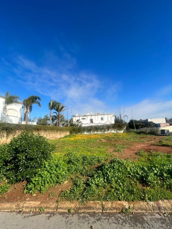 Grande terreno ben orientato a La Colline