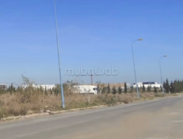 Land for sale sapino
