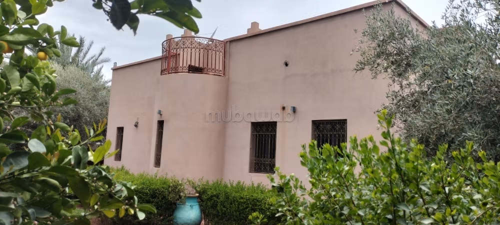Very nice cheap house on Fes road
