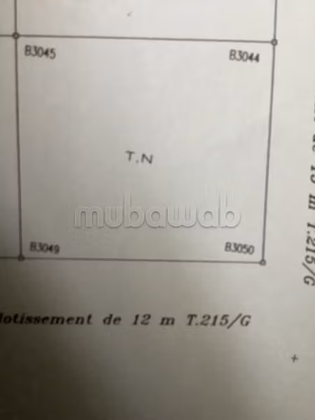 Vends 2 lots de terrains mitoyen à Gznaya Tanger