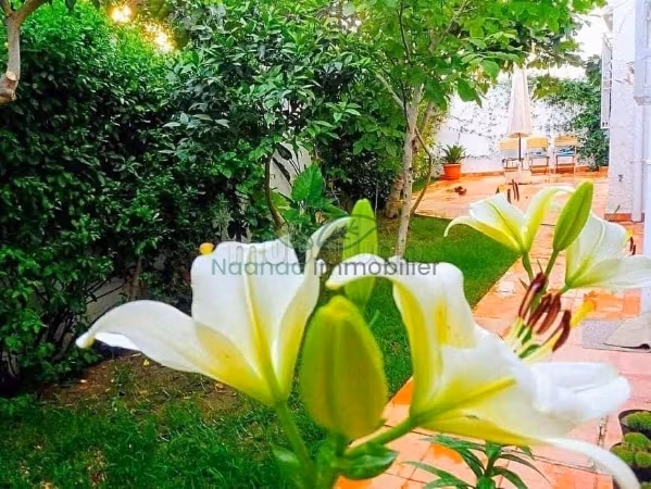Summer rental a Duplex S4 in Hammamet Center